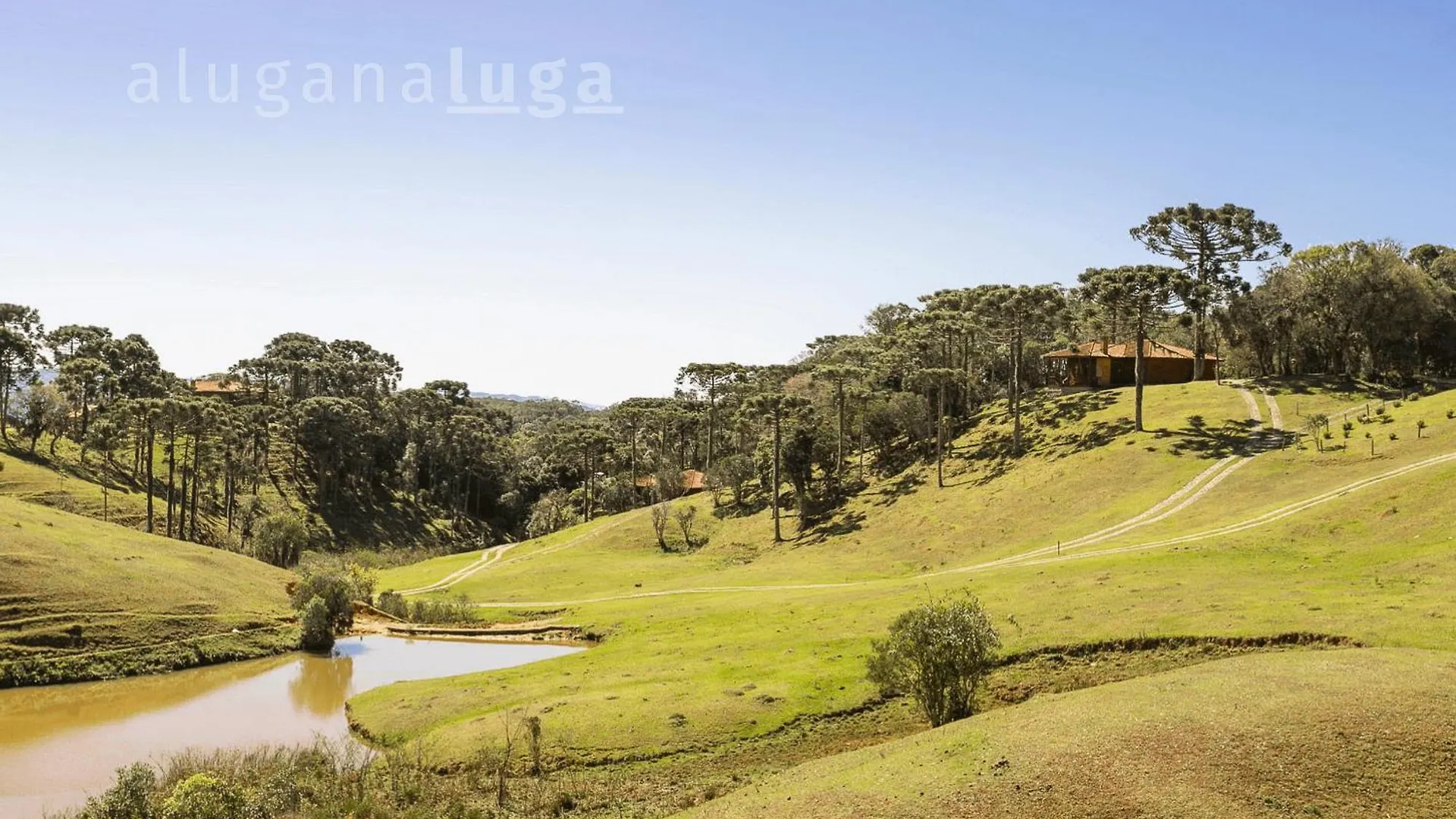 Colina Das Araucarias Natureza Familia Serra Florianopolis Brazil